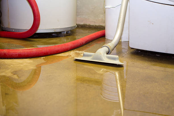 Carpet water damage restoration in Wilmington, DE