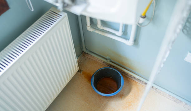 Best Mold removal after water damage  in Wilmington, DE